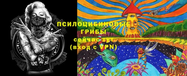 дживик Нефтекумск