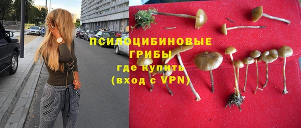ешки Нефтегорск