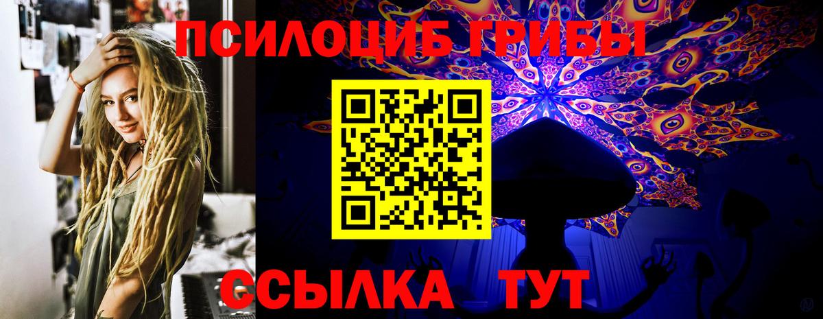 Камень-на-Оби  Псилоцибиновые грибы GOLDEN TEACHER  Галлюциногенные грибы мухоморы  Вход с VPN 